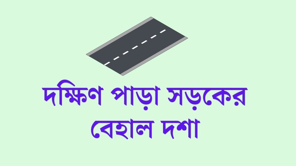 দক্ষিণ পাড়া সড়কের বেহাল দশা