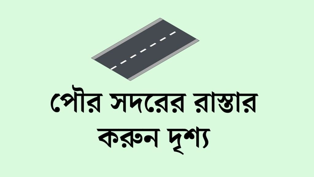 পৌর সদরের পাড়া-মহল্লার সড়ক-রাস্তার করুন দৃশ্য